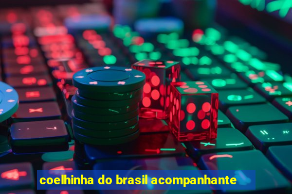 coelhinha do brasil acompanhante